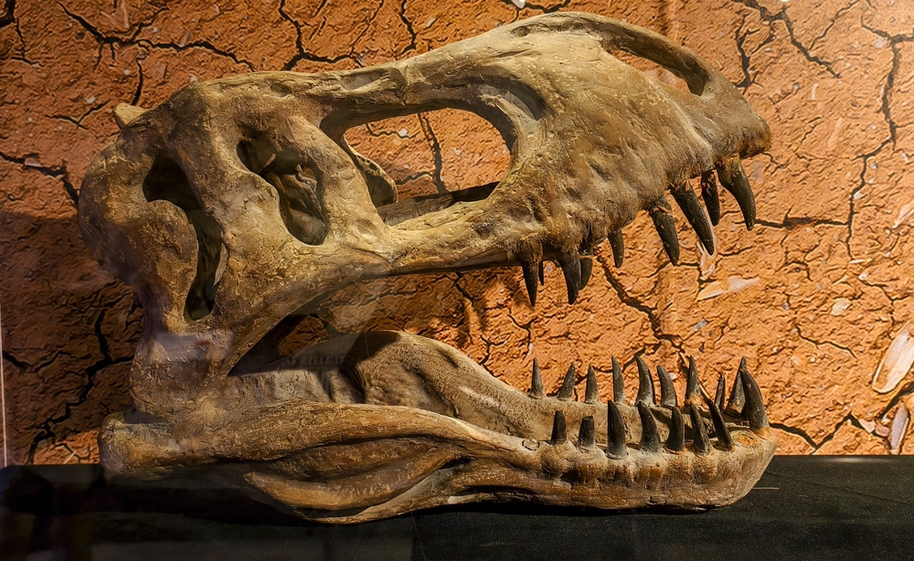 T. rex fossil smashes record with staggering $50 million